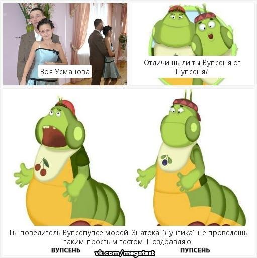 Вупсень и Пупсень шип