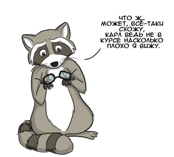 Енот Мем