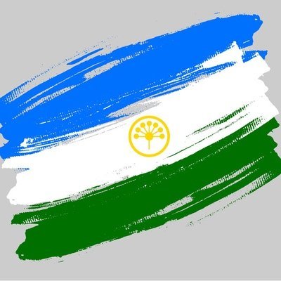 Флаг Башкирии вектор