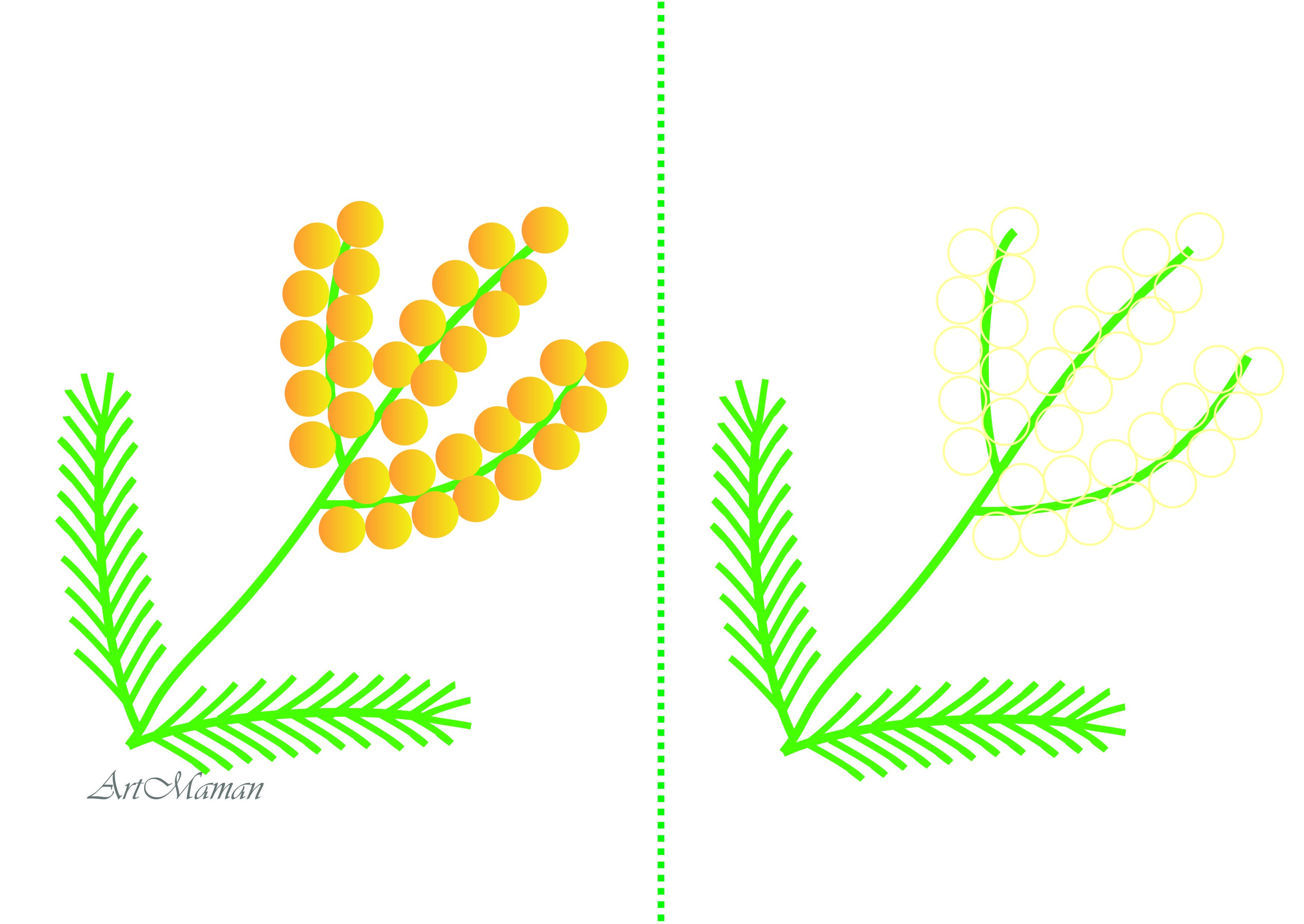 Рисунок мимоза. Как нарисовать цветок мимозы. Рисунки для малышей. РАСКРАСКИ РАЗВИВАШКИ