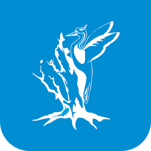 Эмблема Елабуги