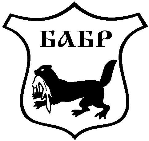Бабр Иркутск герб