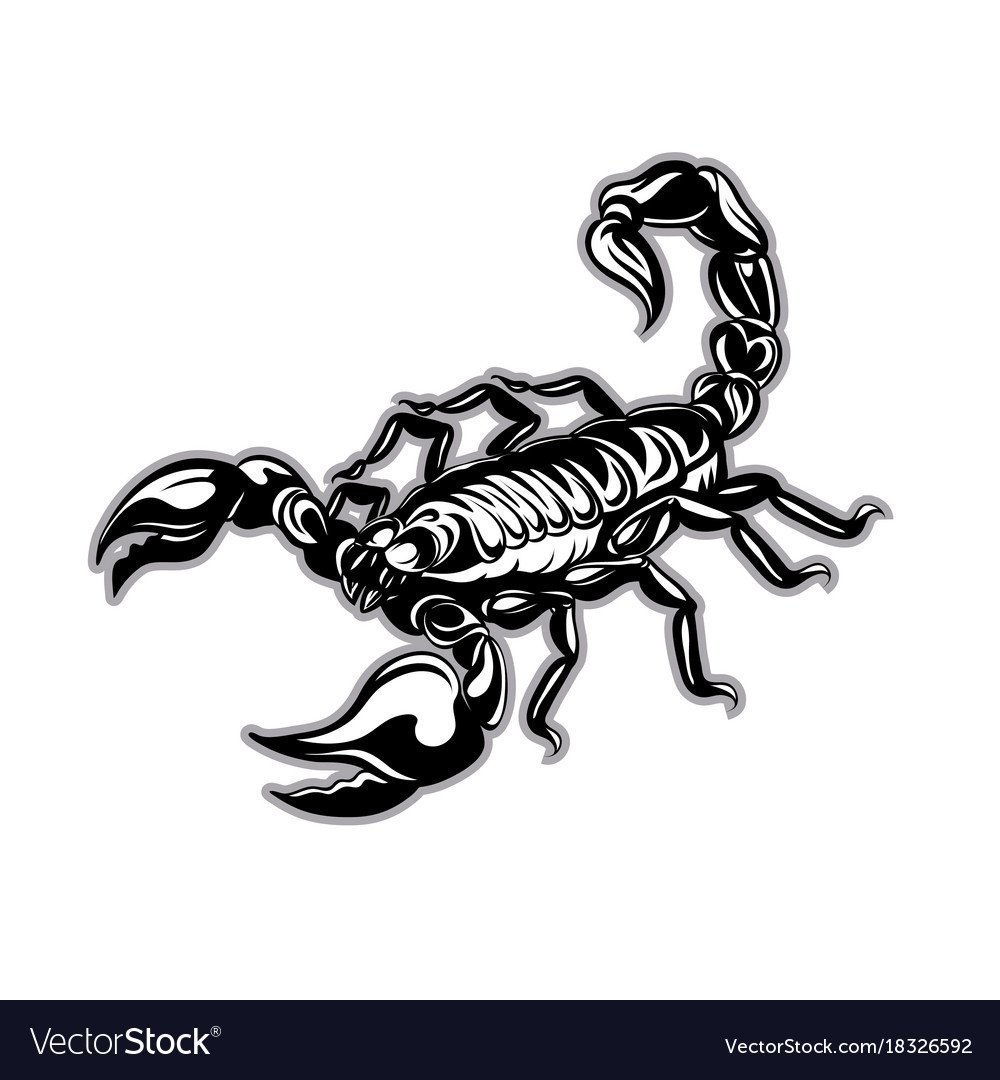 Красивые картинки скорпиона