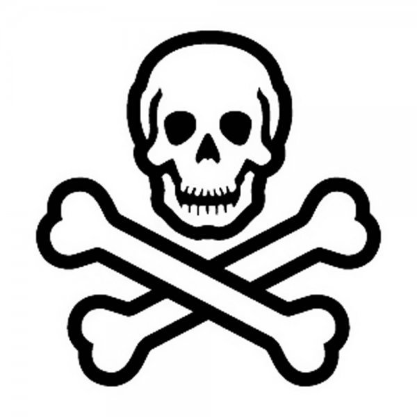 Векторы по запросу Пиратский логотип
