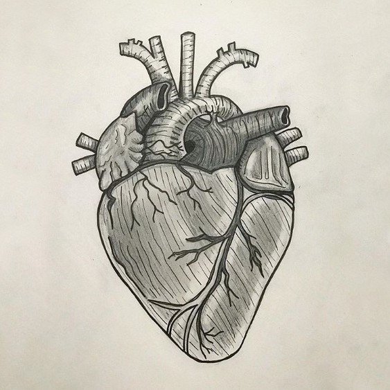 Сердце эскиз