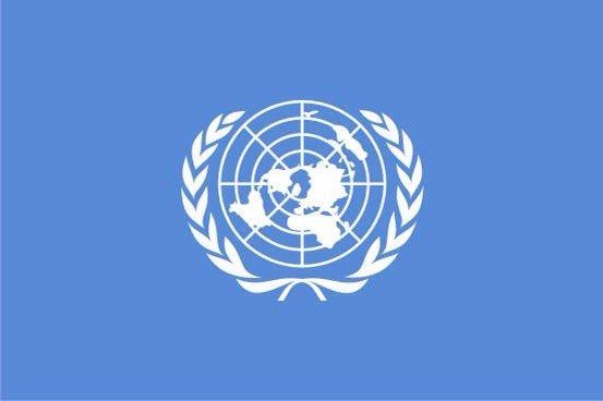 Флаг ООН т101 90х135