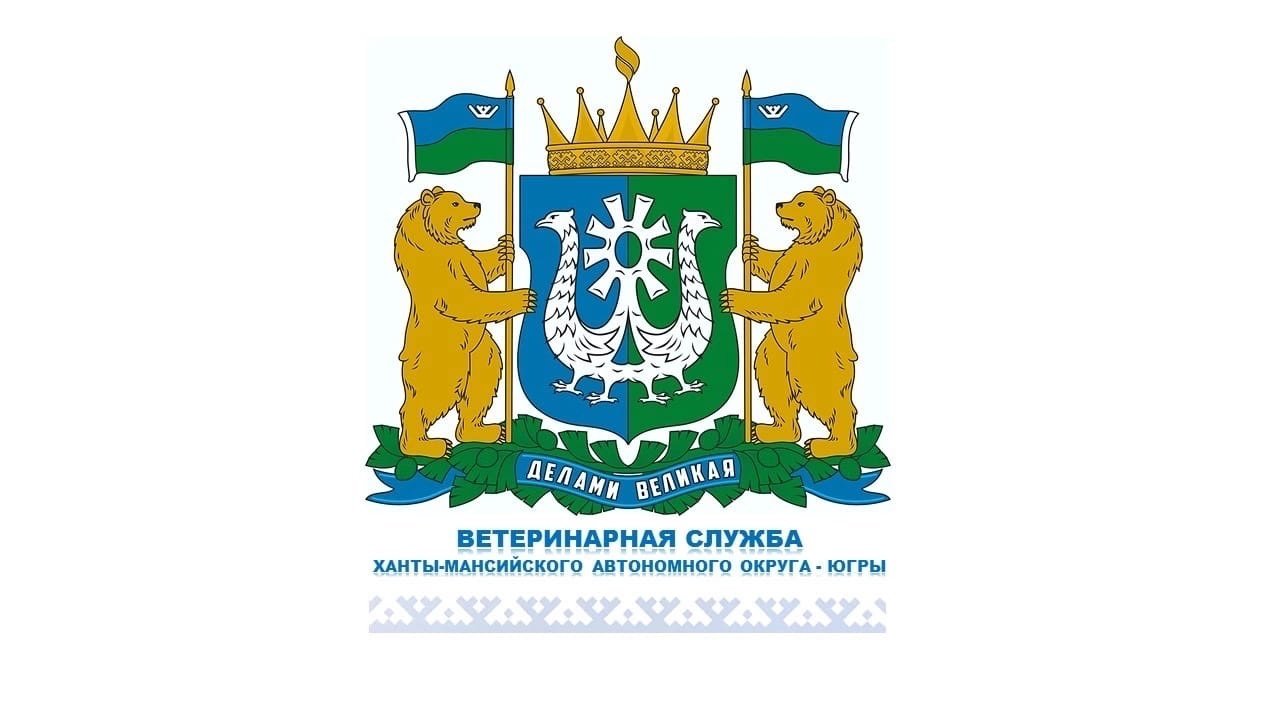 Флаг Ханты-Мансийского автономного округа (ХМАО) Югры купить в Новосибирске недорого