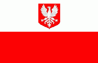 Флаг Польши 1919