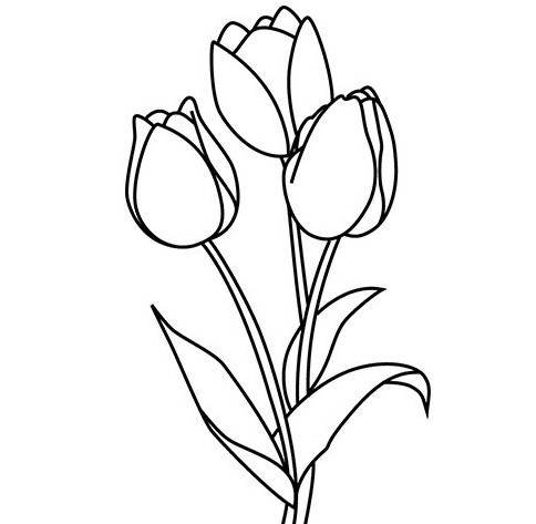 Раскраска тюльпаны в вазе