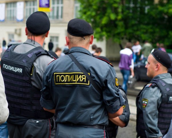 Полиция России