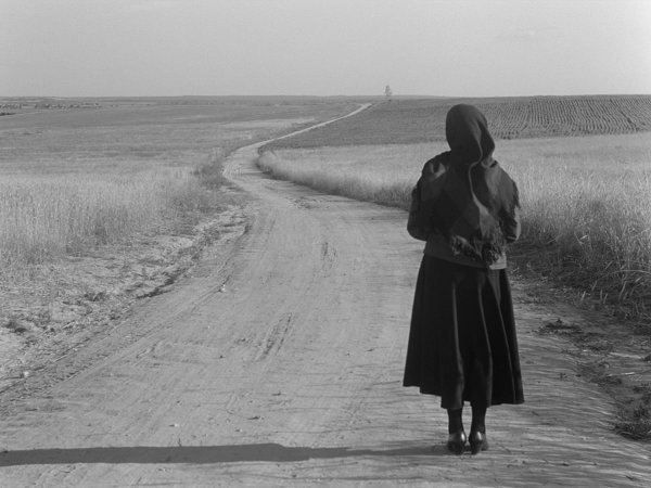 Материнское поле фильм 1967