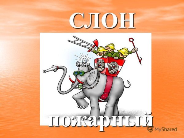 Слон пожарный