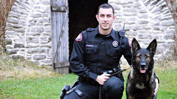 K9 Police овчарка