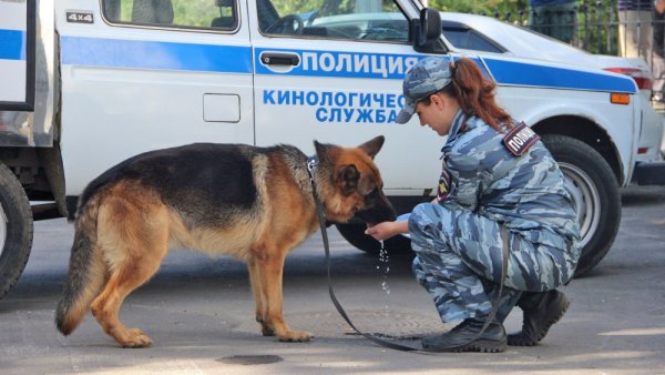 Белогурова Светлана кинолог