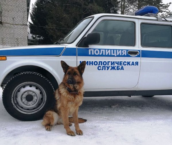 Полицейские собаки в России