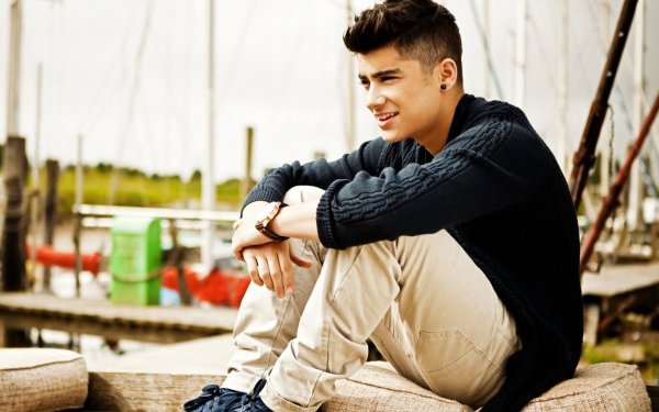One Direction Зейн
