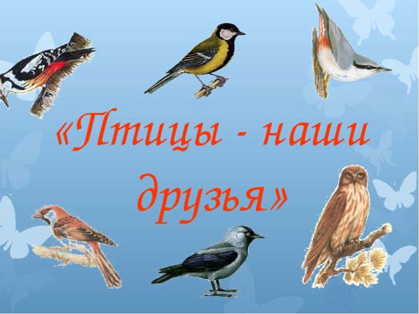 Птицы наши друзья