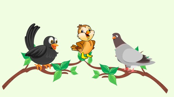 Птицы наши друзья для детей