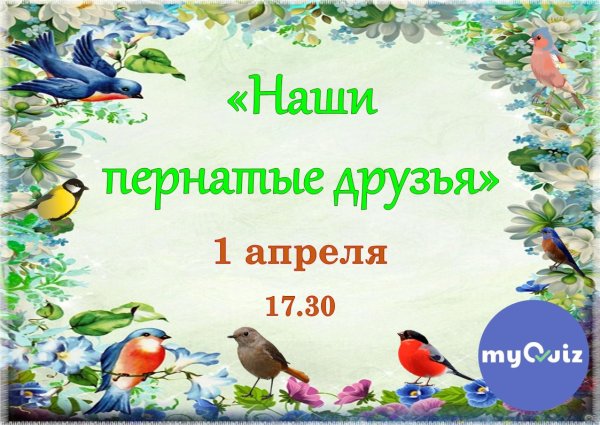Пернатые друзья