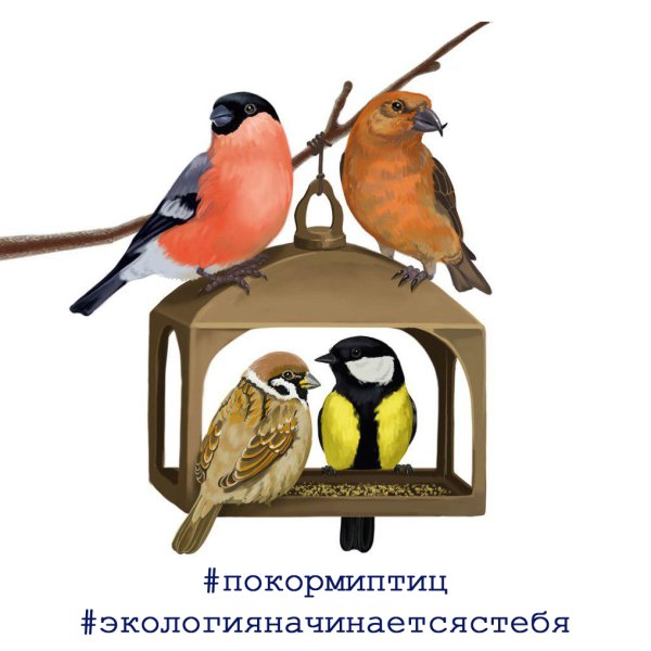 Кормушка для птиц рисунок
