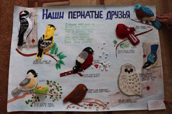 Газета ко Дню птиц