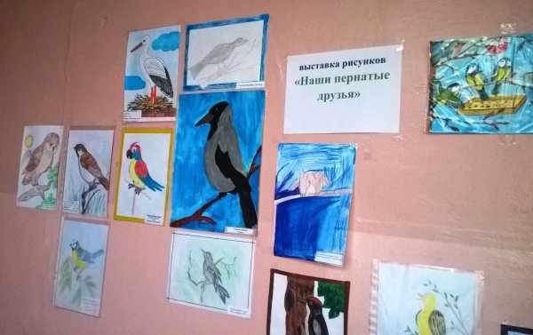 Выставка рисунков птицы
