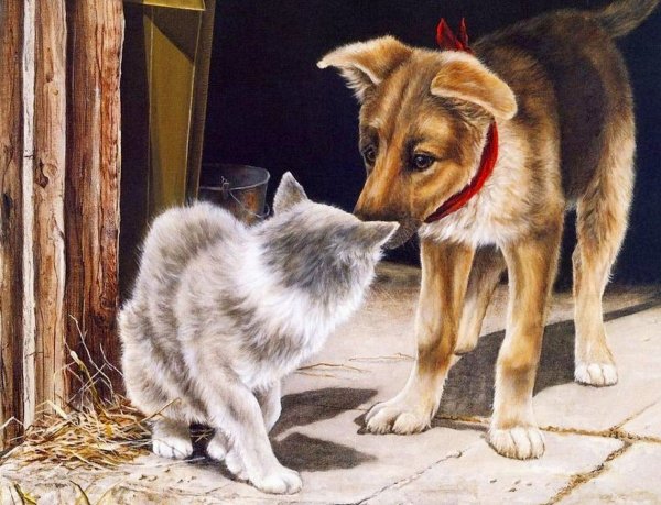 Художник Shirley Deaville