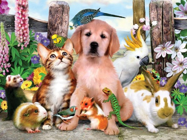 Pets and other animals 3 класс Верещагина