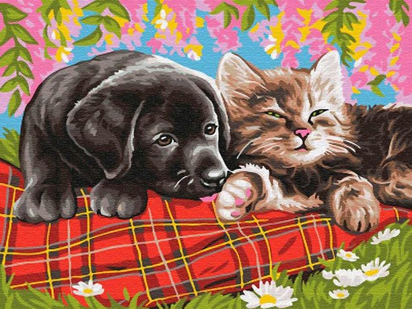 Кошка и собака иллюстрация