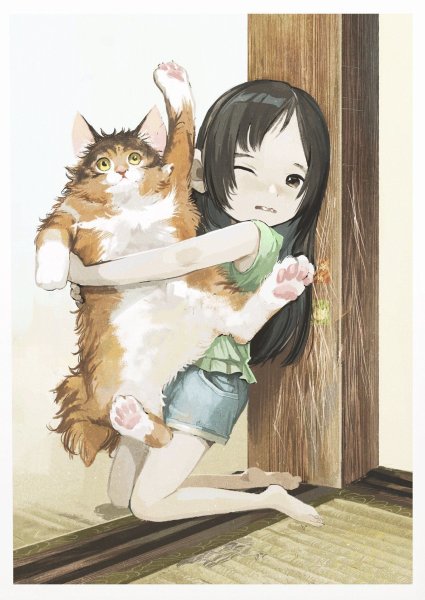 Аниме котики