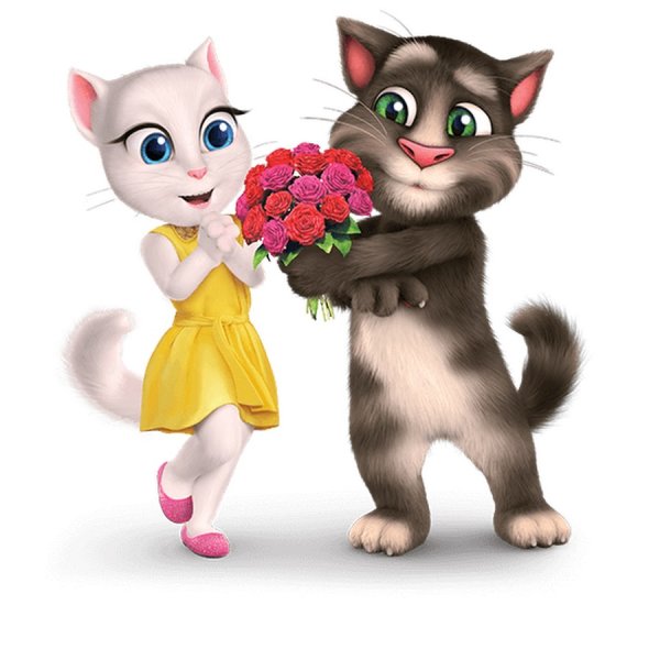 Кот том и Анжела