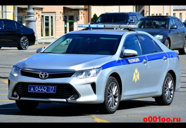 Полицейские машины России