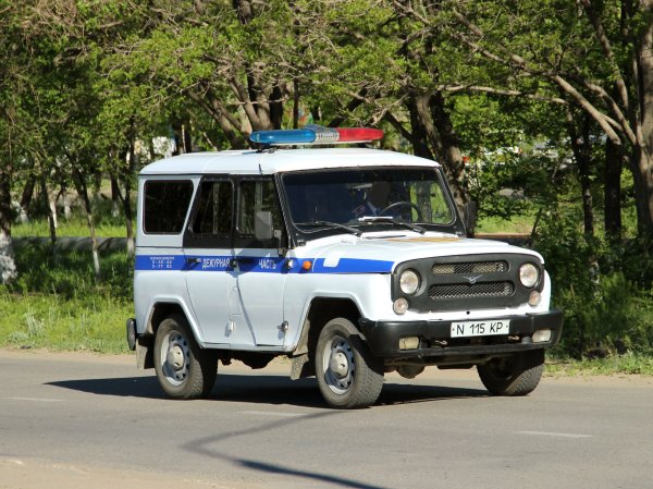УАЗ -31514 МЕНТОВСКИЙ