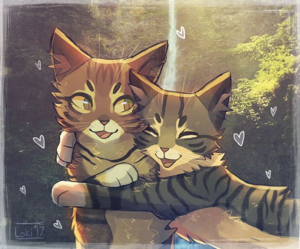 Коты Воители любовь