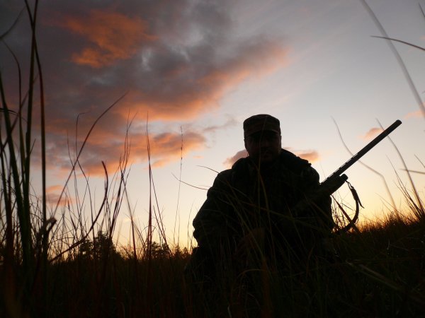 Охотник с ружьем в лесу