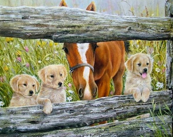 Художник Shirley Deaville
