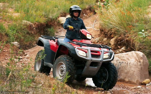 Квадроцикл Yamaha Grizzly
