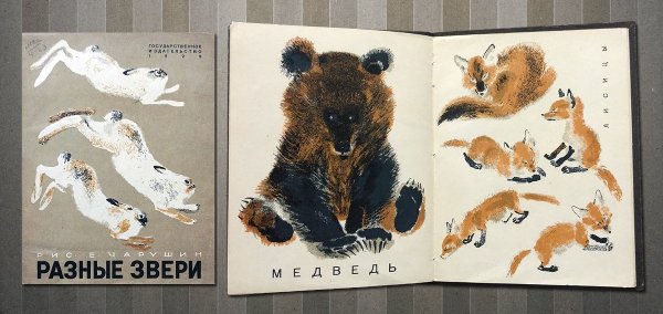 Книга Чарушина разные звери