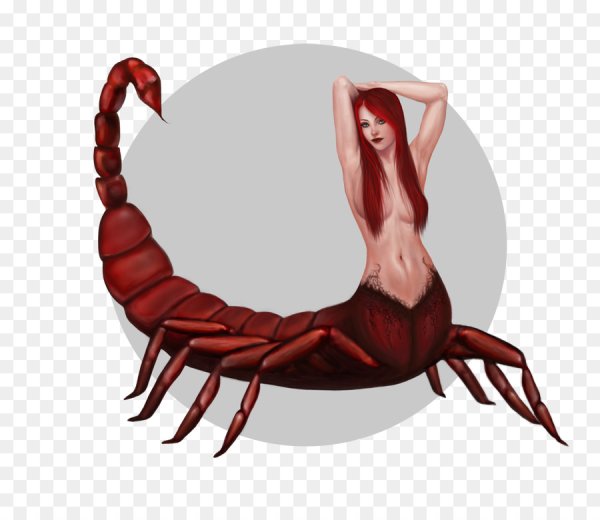 Monster girl Скорпион