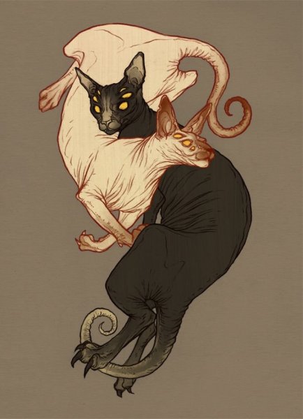 Кот сфинкс референс