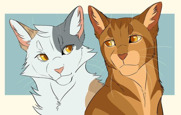 Коты Воители бурый и Медуница