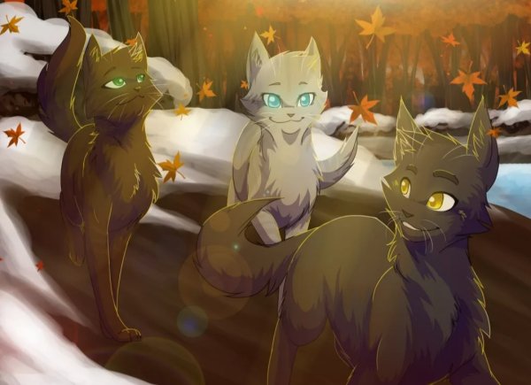 Коты Воители Дубозвезд