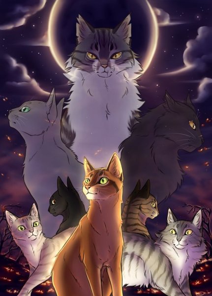 Коты Воители Варриорс