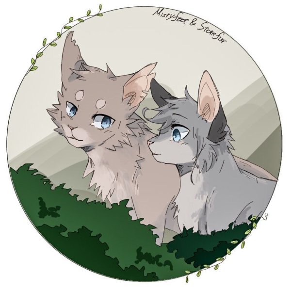 Коты Воители неканонные пары