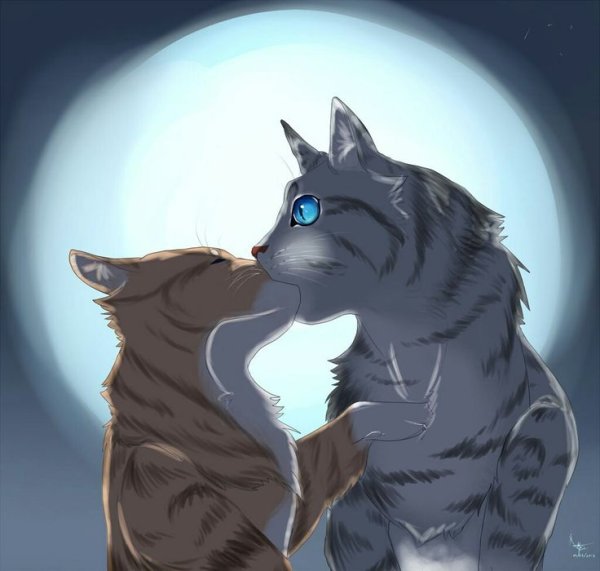 Коты Воители Воробей и Ольхогрив