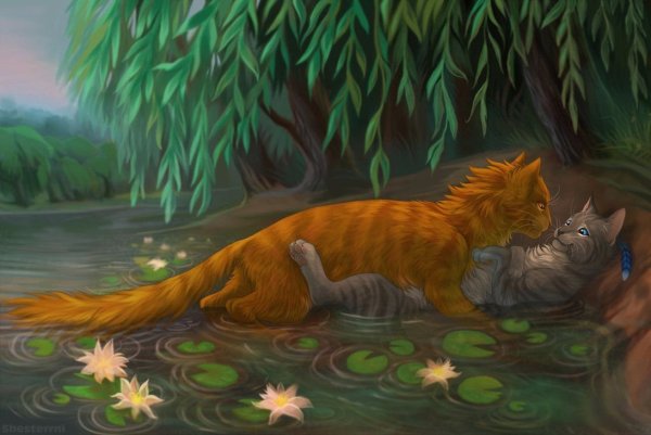Коты Воители Огнезвёзд и Крутобок любовь