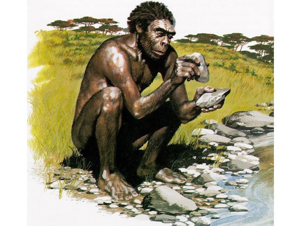 Человек умелый homo habilis