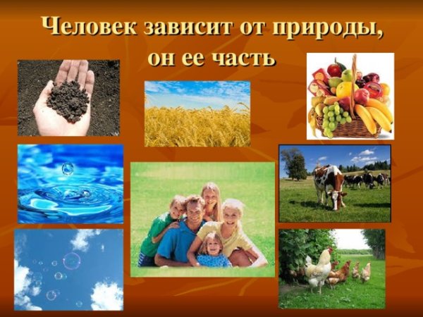 Связь человека с природой