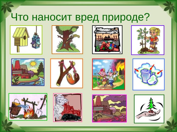 Что наносит вред природе