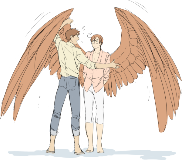 Хеталия wingtalia